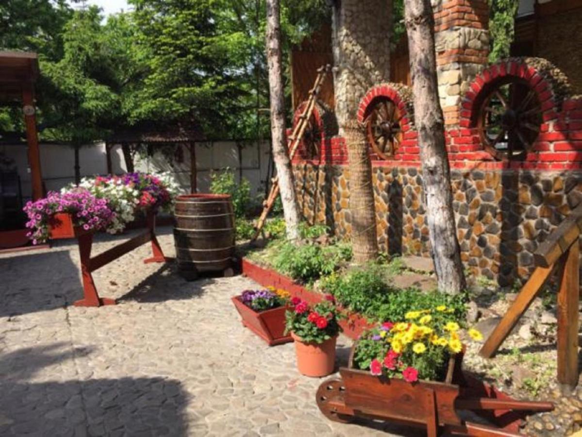 Hotel Casa Romaneasca Otopeni Exteriér fotografie